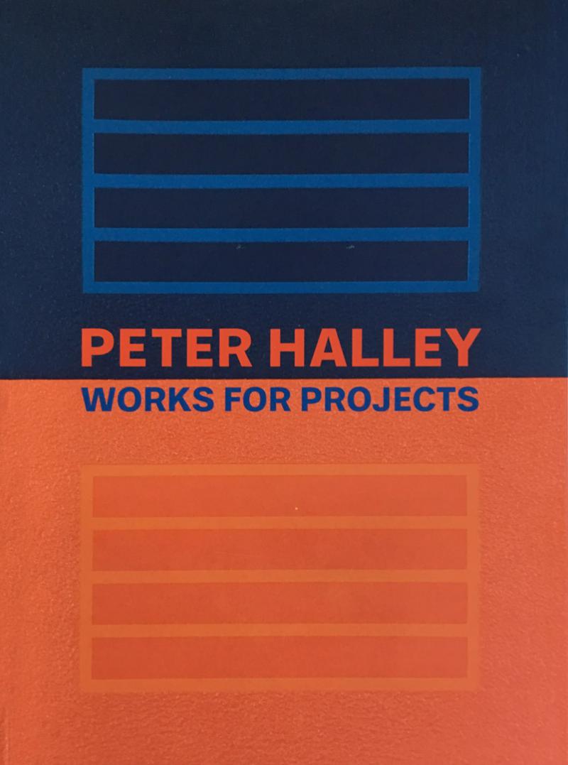 PETER HALLEY / Works for Projects / In Arco Book / Torino 2008